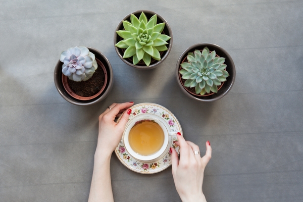 Kurkuma - Właściwości i Sposoby Na Zwiększenie Jej Wchłaniania fot. 2