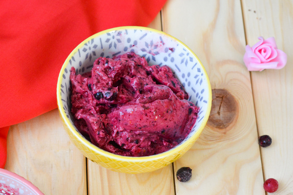 Domowe lody z&nbsp;owoców leśnych 2