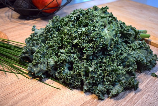 Chipsy z&nbsp;jarmużu, just food therapy, Poradnia dietetyczna, dietetyk kliniczny Justyna Lenda fot 2